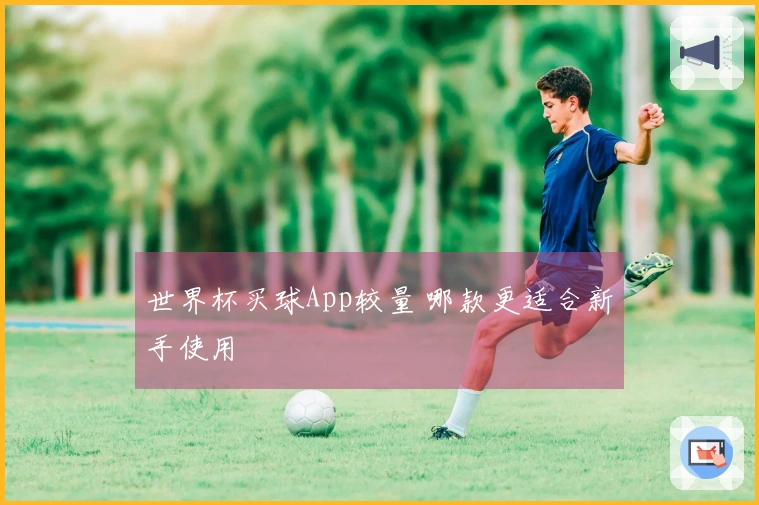 世界杯买球App较量 哪款更适合新手使用
