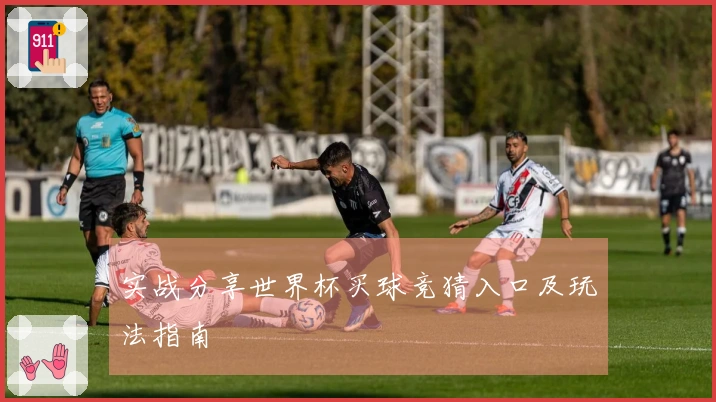 实战分享世界杯买球竞猜入口及玩法指南