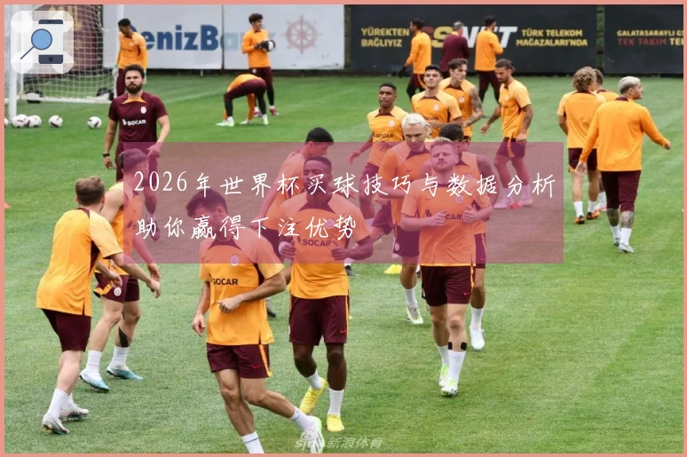 2026年世界杯买球技巧与数据分析助你赢得下注优势