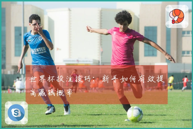 世界杯投注技巧：新手如何有效提高赢钱概率