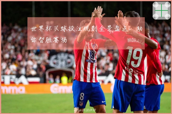 世界杯买球投注规则全景盘点，助你智胜赛场