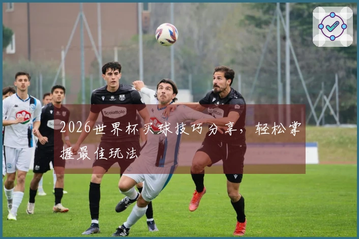 2026世界杯买球技巧分享，轻松掌握最佳玩法