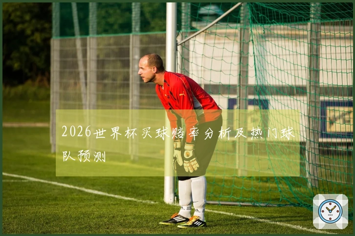 2026世界杯买球赔率分析及热门球队预测
