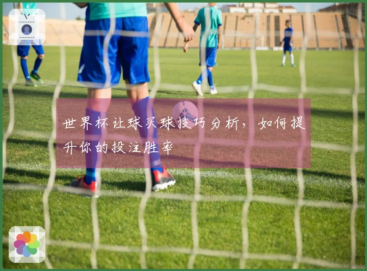 世界杯让球买球技巧分析，如何提升你的投注胜率