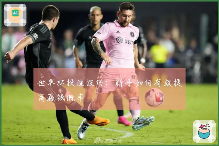 世界杯投注技巧：新手如何有效提高赢钱概率