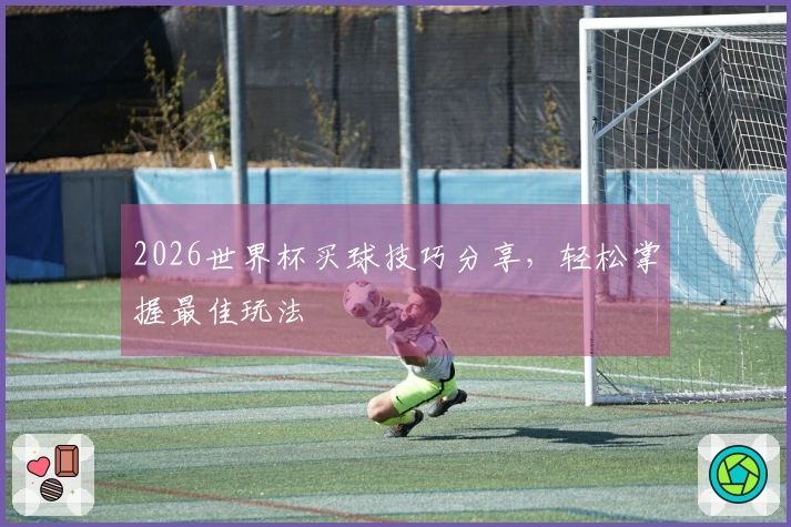 2026世界杯买球技巧分享，轻松掌握最佳玩法